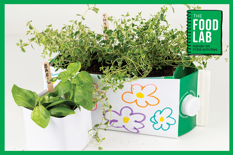  The Food Lab: Milk Carton Garden 