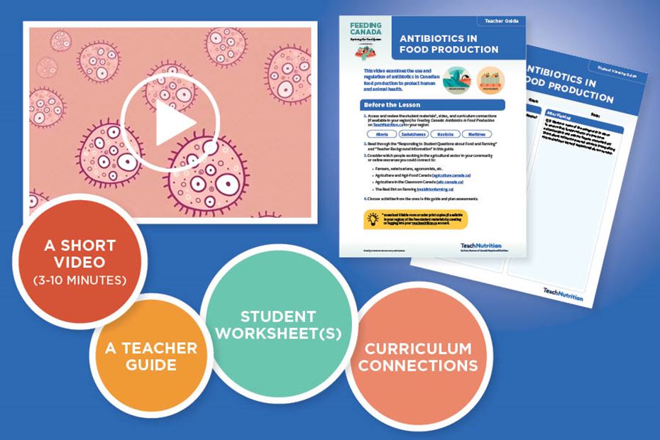 Feeding Canada: Antibiotics in Food Production