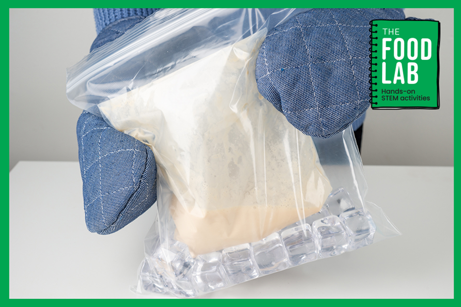  The Food Lab: Ice Cream in a Bag 