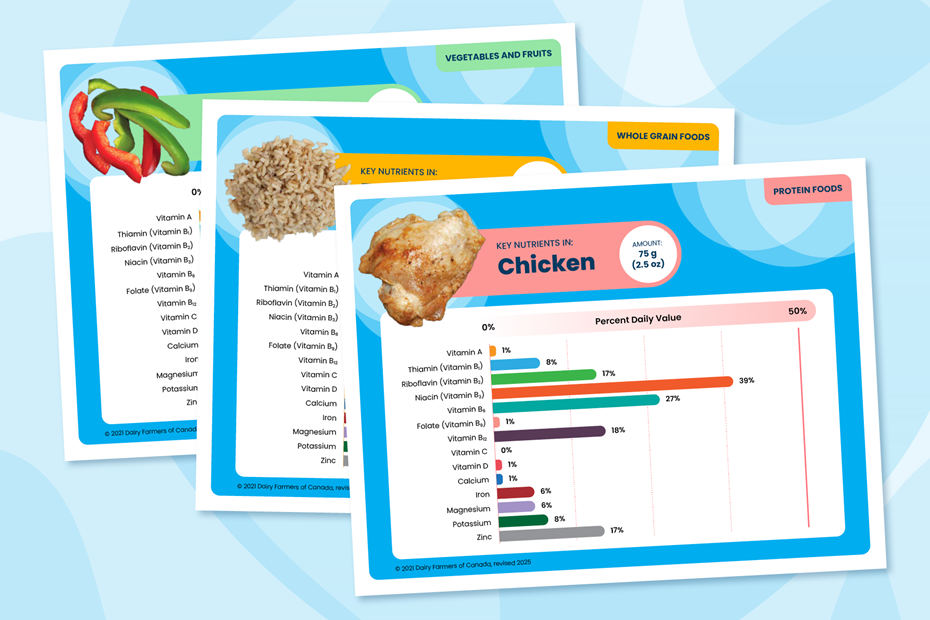 Food for Me: Lesson 2 - Exploring Variety