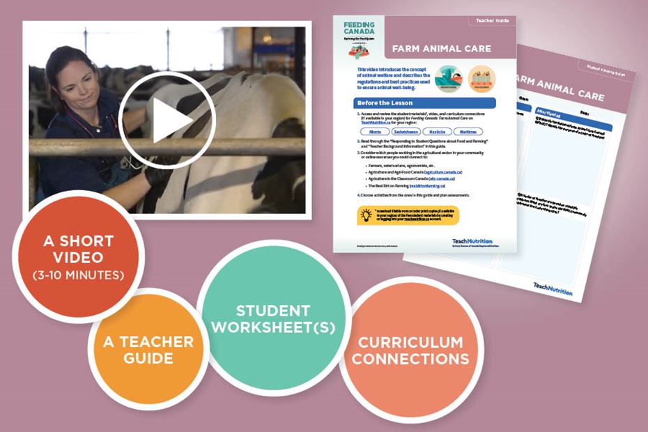 Feeding Canada: Farm Animal Care 