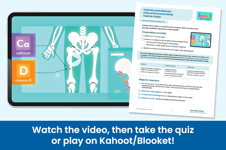 Vitamins and Minerals: Allies of the Human Body