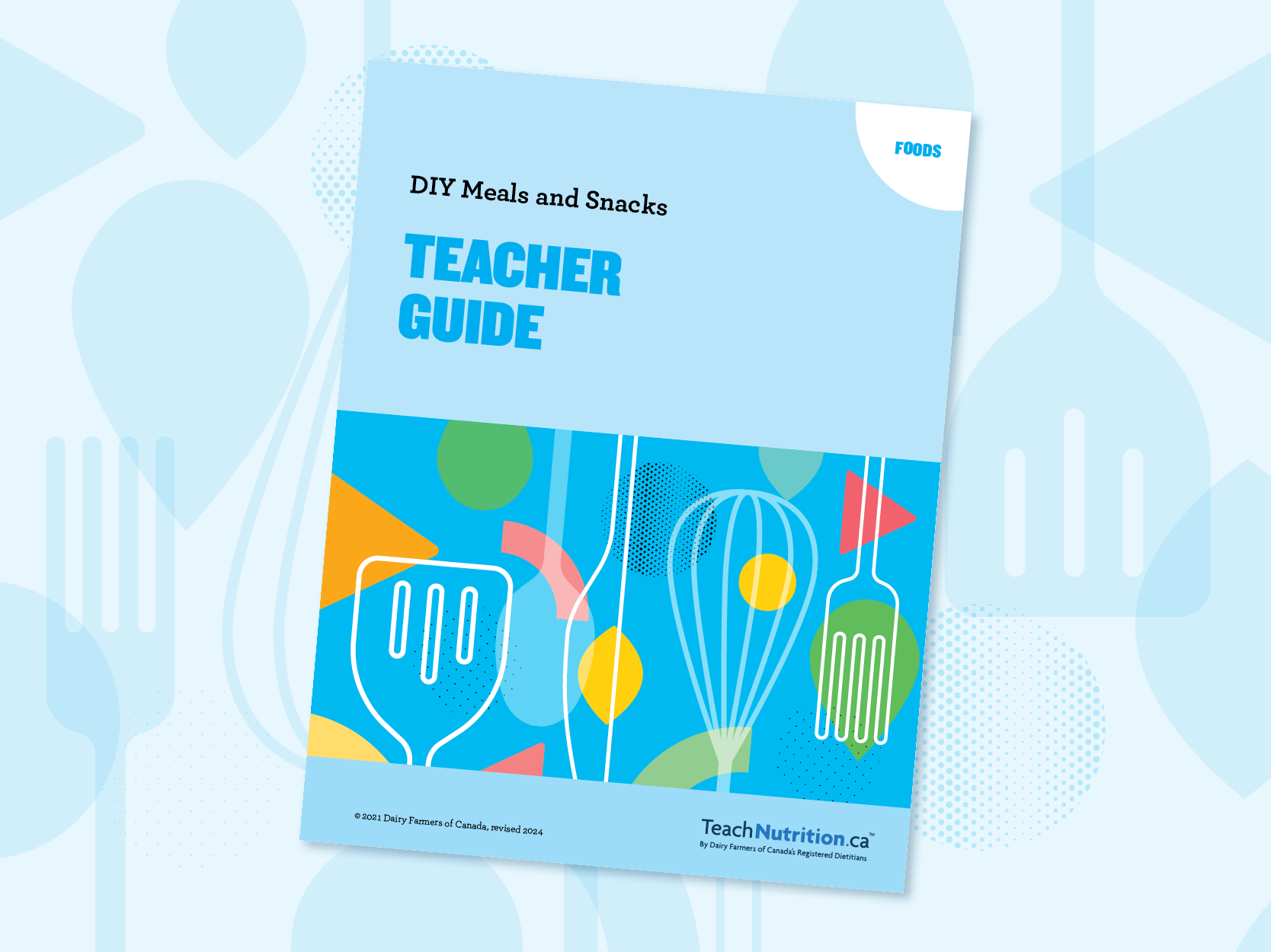 DIY Meals and Snacks: Teacher Guide and Curriculum Connections 