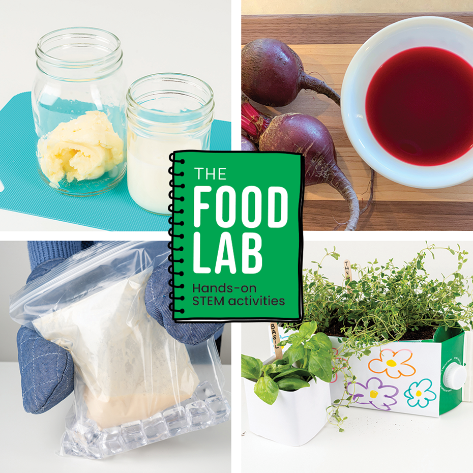 The Food Lab – STEM Activities for Grades K–12 